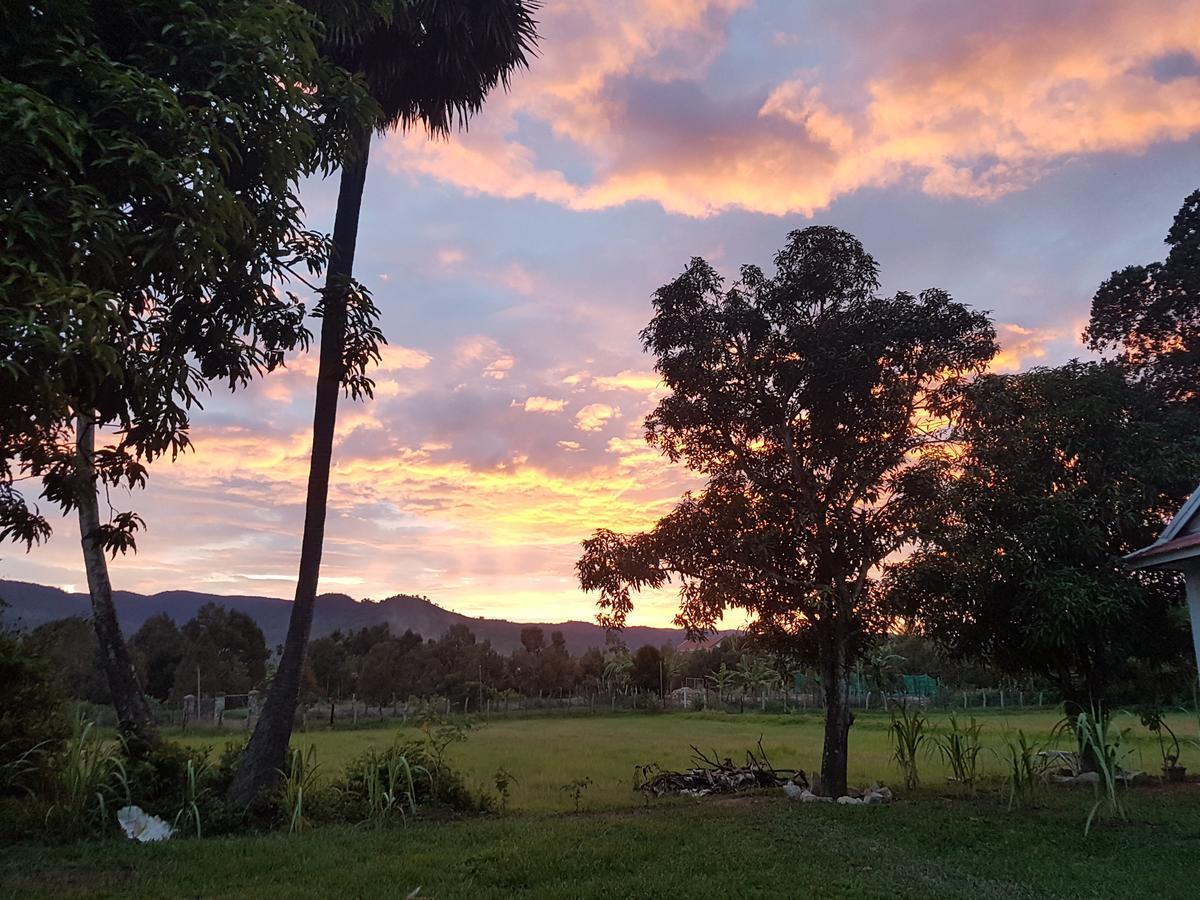 Gecko Village Kampot Bagian luar foto