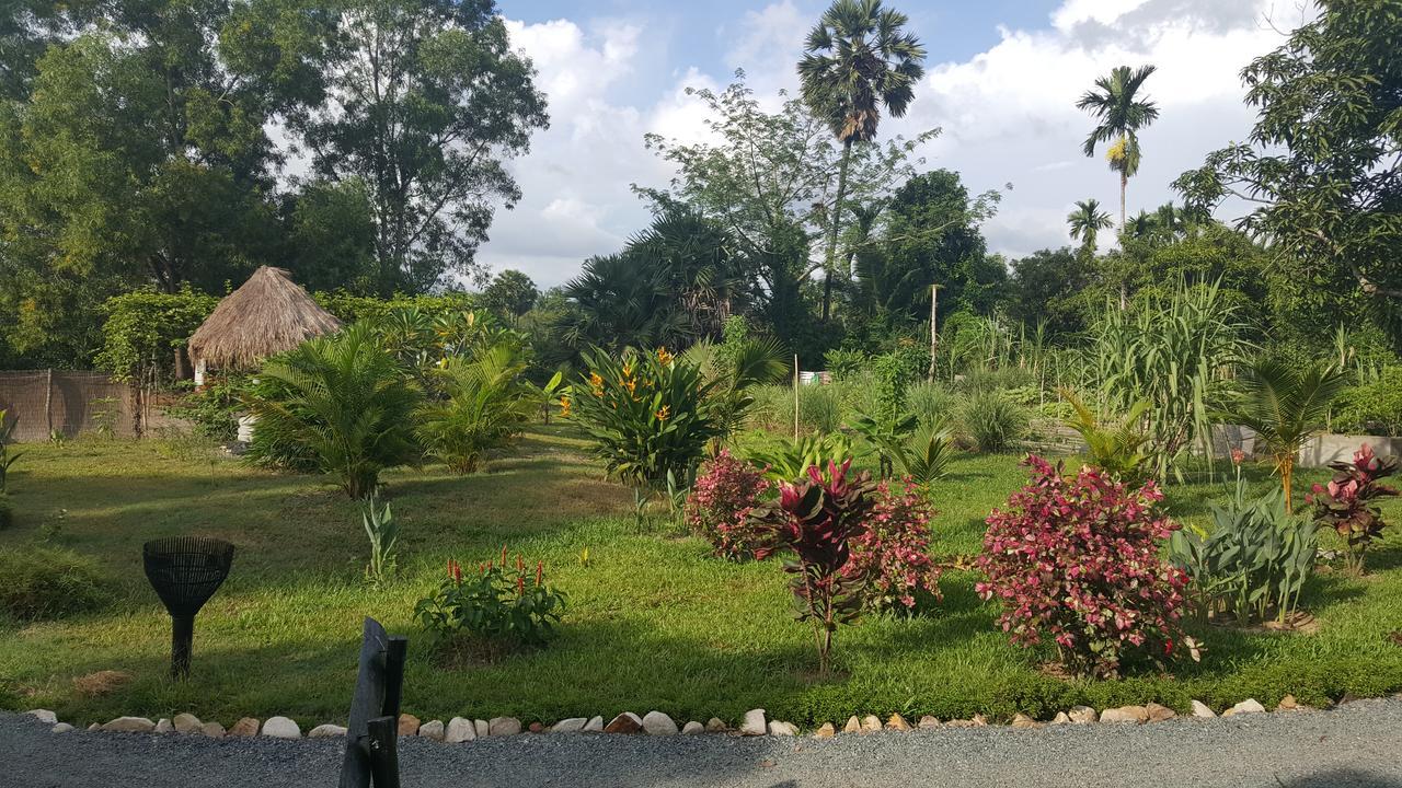 Gecko Village Kampot Bagian luar foto